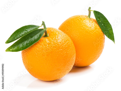 Close up of oranges.