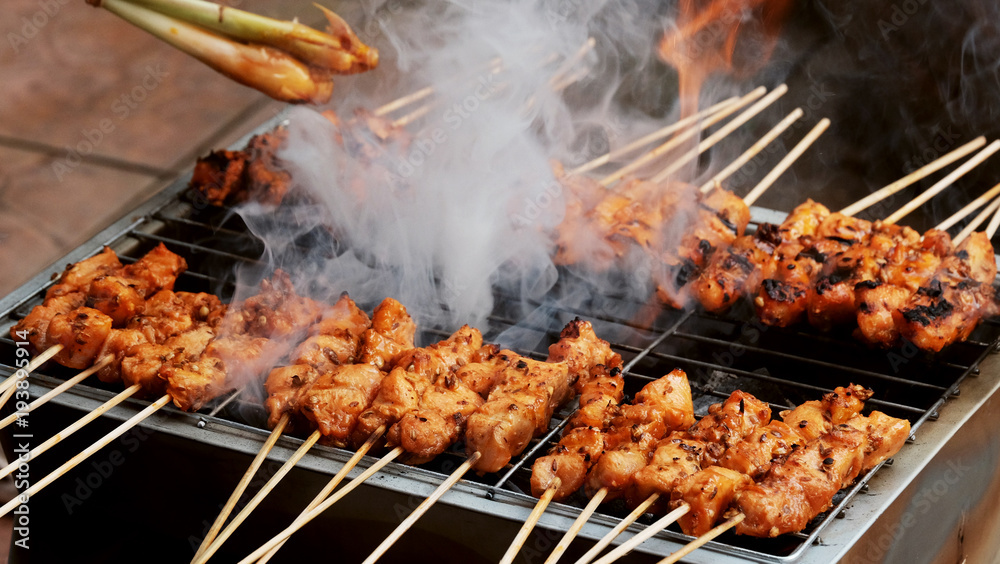Chicken Satay / Chicken satay  is grilled chicken skewers marinated with spices and served with peanut sauce.