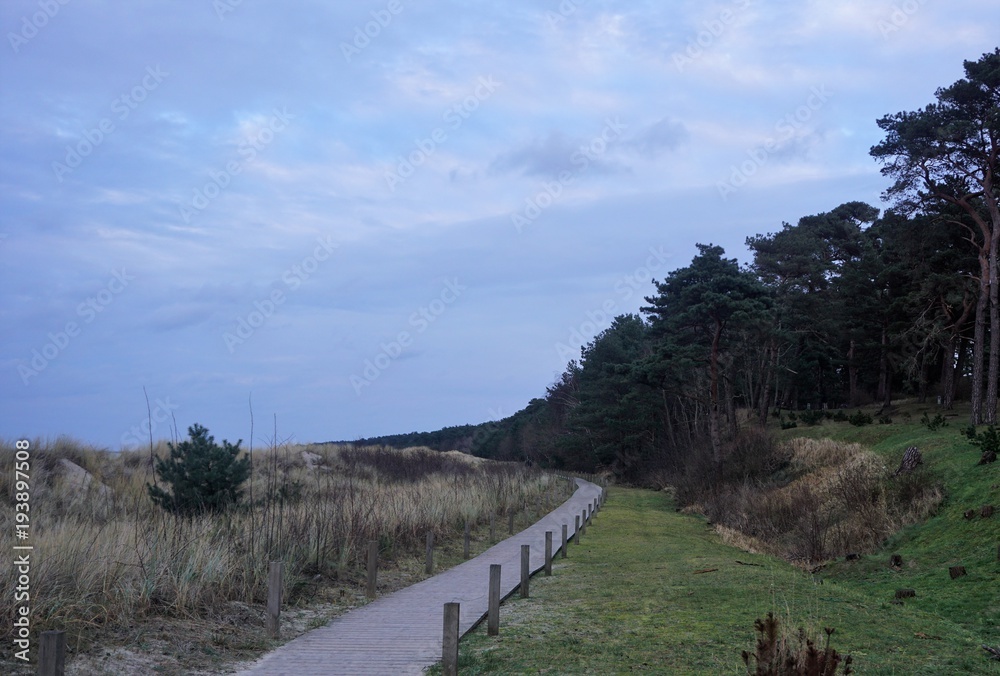 Dunes of the baltic sea shore in northern Germany