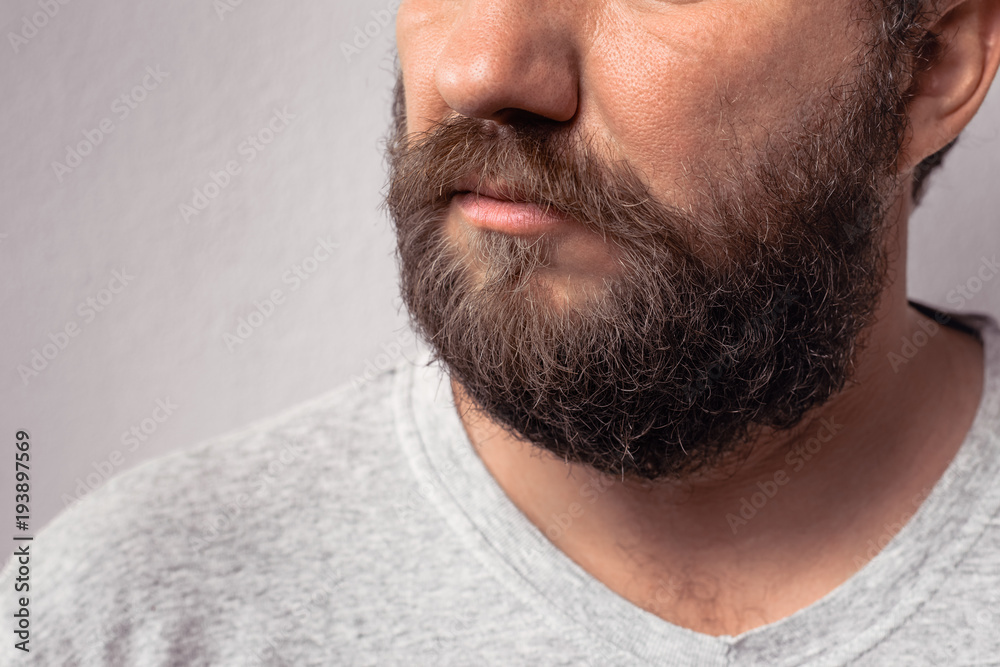Obraz premium Long beard and mustache of handsome bearded man, portrait of bearded man in gray t-shirt against gray wall.