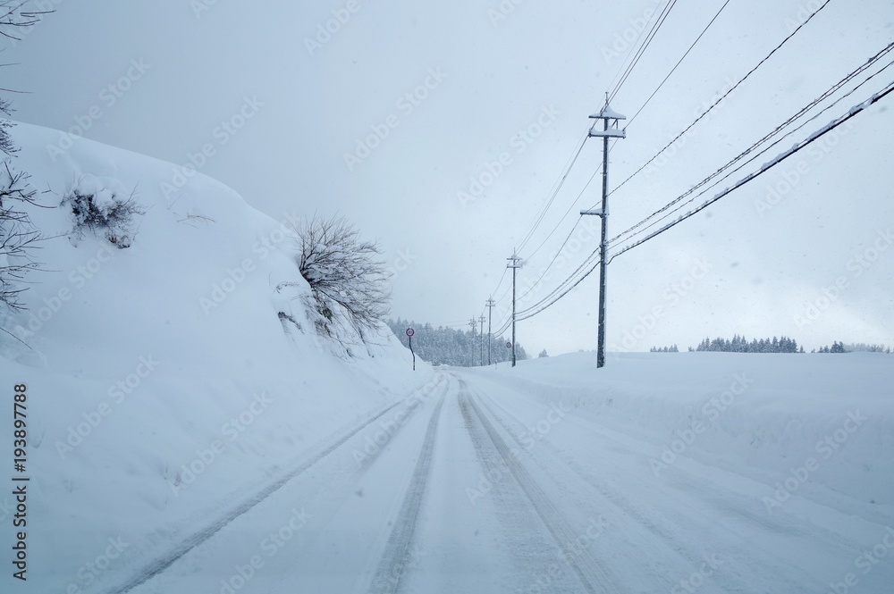 雪で真っ白な道路 雪で真っ白な道路