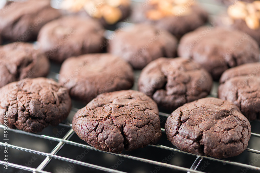 Fototapeta premium Cookies choc chocolate fresh from the oven on a wire rack steel.