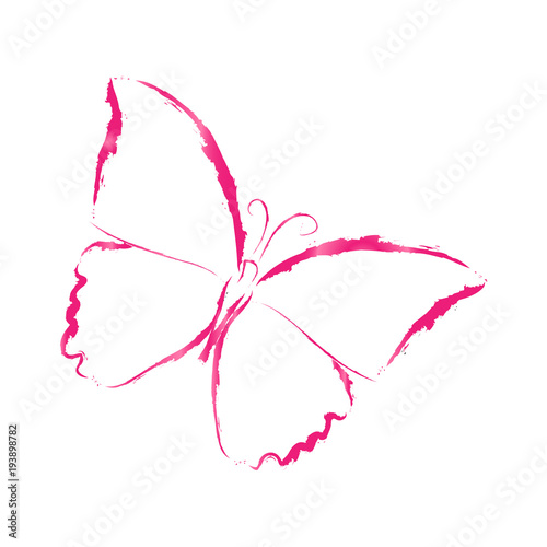Butterfly pink, watercolor, on white background
