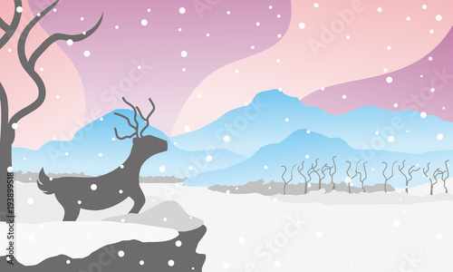 Winter deer