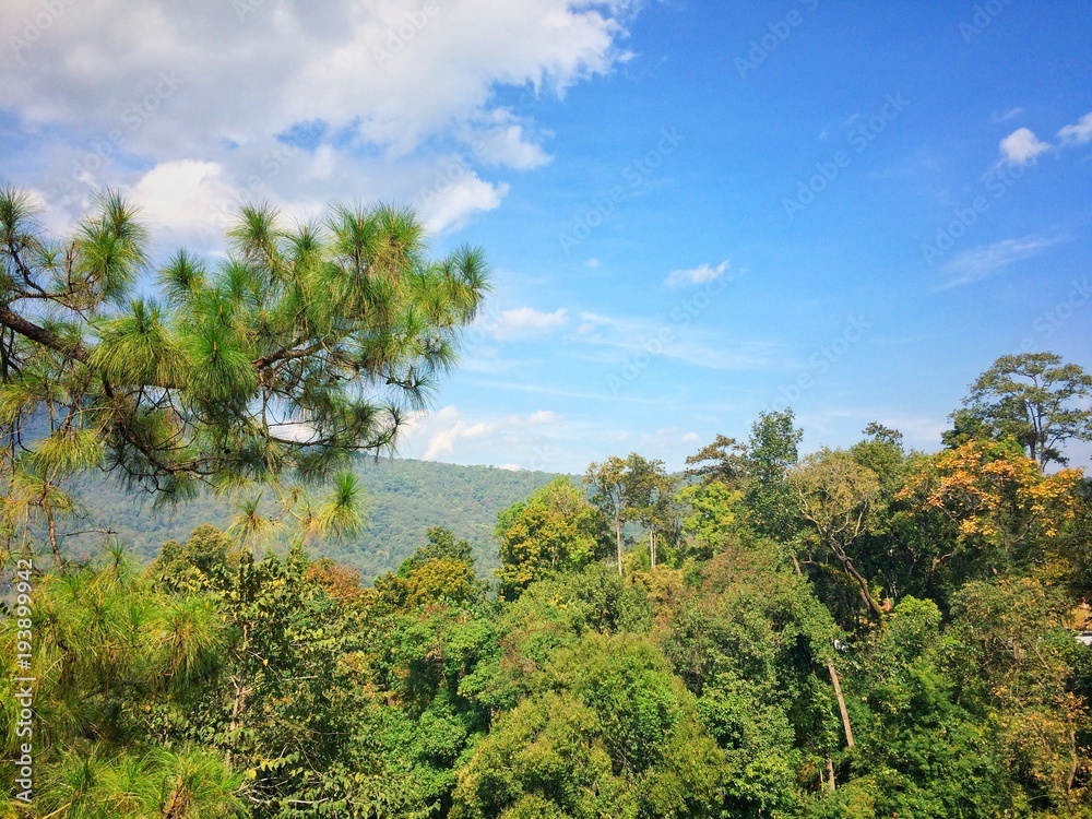 Countryside landscape at Chiangmai province Northern Thailand.