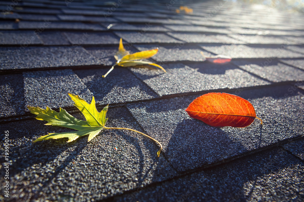 Obraz premium Colorful fall leaves on a roof