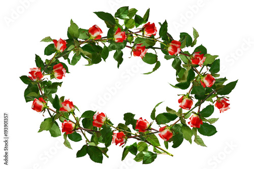 Circlet of flowers, red with white roses and green leaves. Isolated, white background.