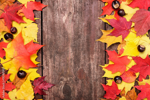 Autumn leaves on a board background