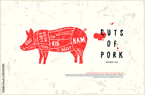 Stock vector pork cuts diagram