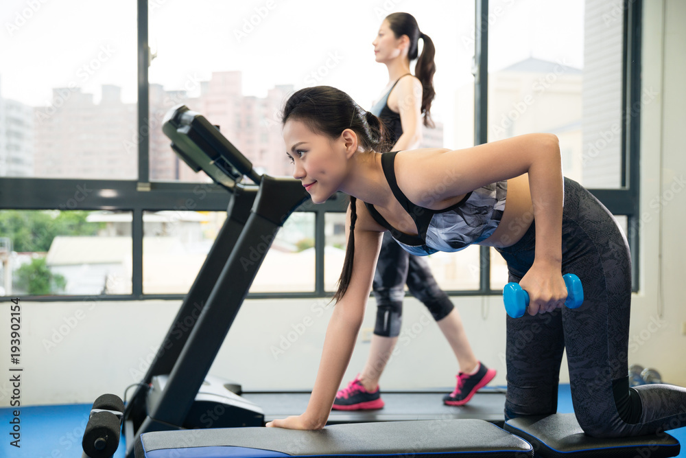 Fototapeta premium girl doing dumbbells to train her muscle
