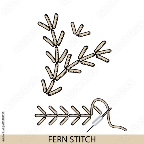 Stitches fern stich type vector. Collection of thread hand embroidery and sewing stitches. Vector illsutration of stitching examples.