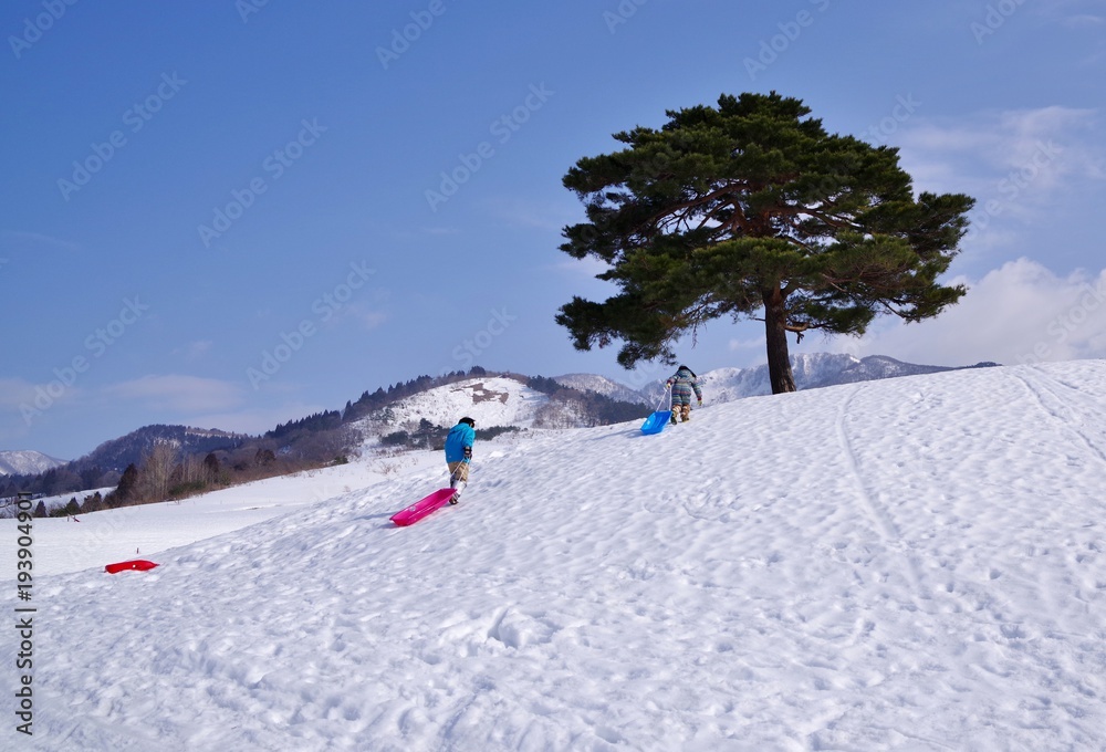 スキー場でソリ遊びをする子供