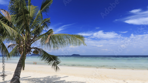 Tropical beach with palm trees in Phi Phi Don Island in Krabi, Thailand