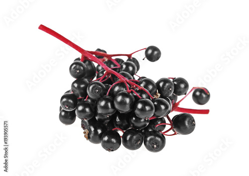 Black elderberry fresh fruit on a white background