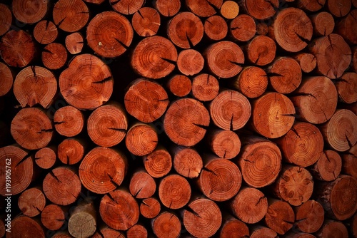Pile of wood  log wood