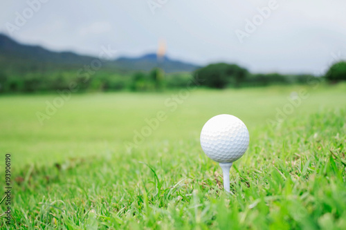 Golf ball on green lawn.