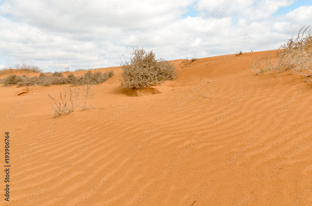 slopes of yellow sand dunes in the desert Utta, Republic of Kalmykia