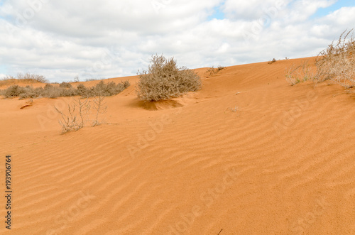 slopes of yellow sand dunes in the desert Utta  Republic of Kalmykia