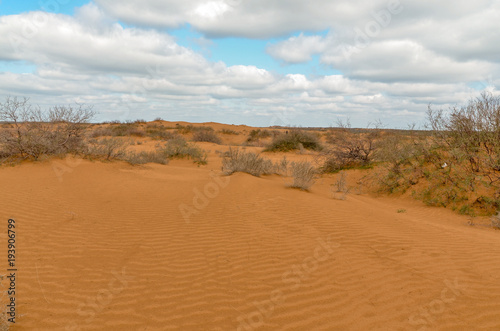 slopes of yellow sand dunes in the desert Utta, Republic of Kalmykia