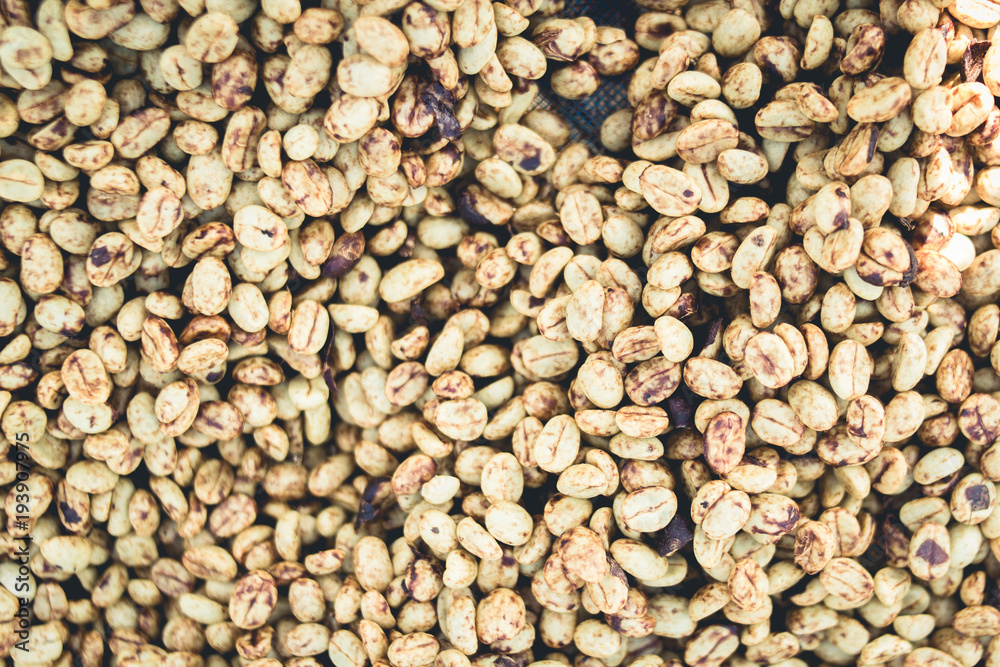 Coffee making process Seed processing and drying