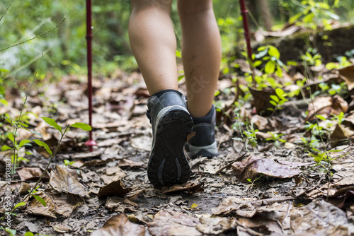 Trekking in a forest