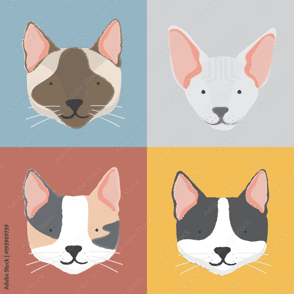 Illustration of cat faces