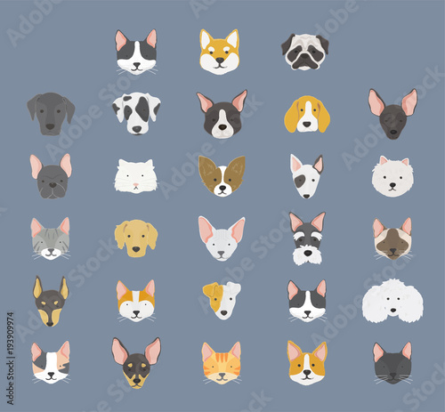 Illustration of animals set