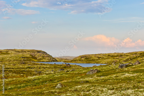 Tundra landscape. Kola Peninsula, Murmansk region, Russia