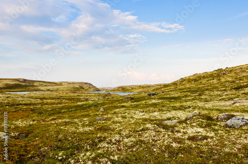 Tundra landscape. Kola Peninsula, Murmansk region, Russia