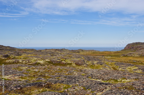 Shore of the Barents Sea. Tundra landscape. Kola Peninsula, Murmansk region, Russia