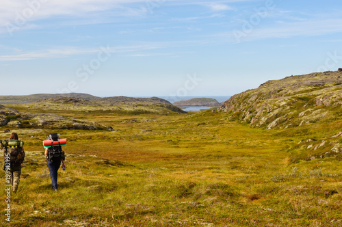 Tourists with heavy backpacks hiking in tundra. Kola Peninsula, Russia