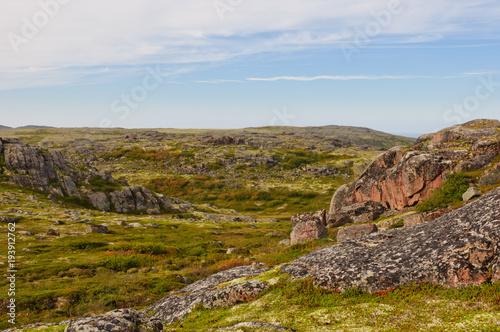 Tundra landscape. Kola Peninsula, Murmansk region, Russia
