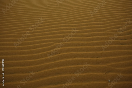 Texture sand in the desert