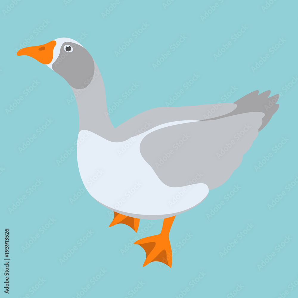 Obraz premium goose vector illustration flat style profile side
