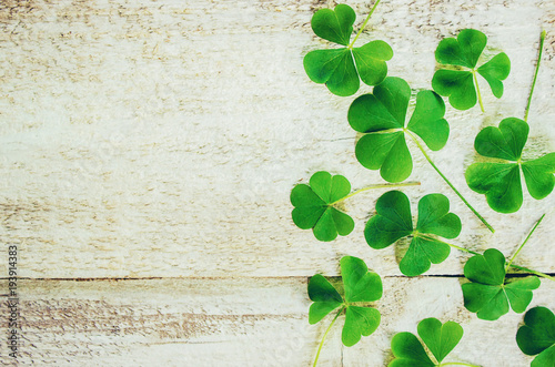 Clover leaf. Happy St. Patrick's Day. Selective focus.   photo