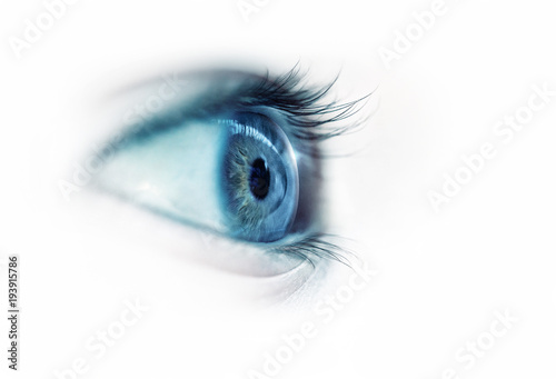 blue eye close-up