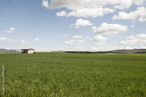 Fields, pastures and the hay barn