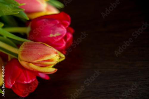 Fototapeta Naklejka Na Ścianę i Meble -  bouquet of tulips on a dark background