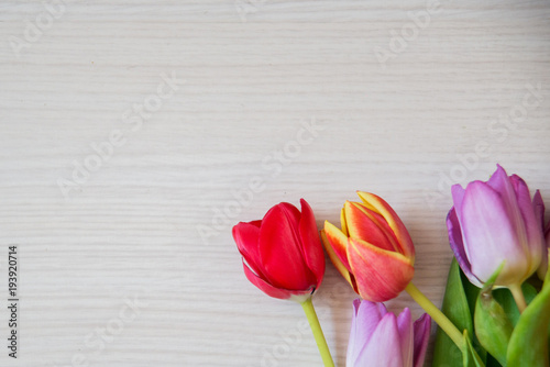 Fototapeta Naklejka Na Ścianę i Meble -  bouquet of colorful tulips on a light wooden background, a layout for your text