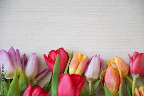 bouquet of colorful tulips on a light wooden background  a layout for your text