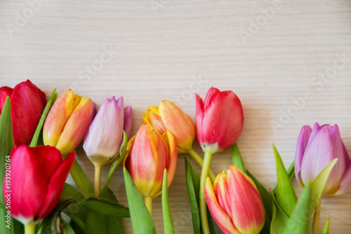 bouquet of colorful tulips on a light wooden background  a layout for your text
