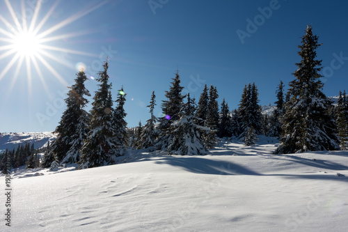 The beautiful landscapes of high mountains in Romania during a very cold day of winter. © Andrei