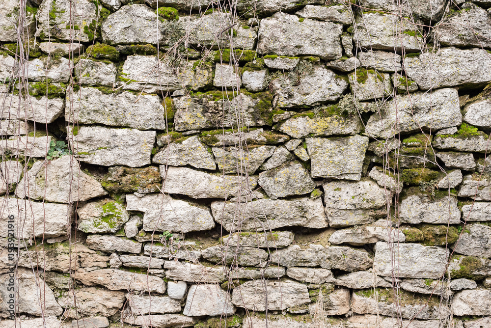 Textured background irregular natural stone wall is made of different stones with elements of natural vegetation in the form of green moosa of mold and ivy. Medieval background Textured background irregular natural stone wall is made of different stones with elements of natural vegetation in the form of green moosa of mold and ivy. Medieval background