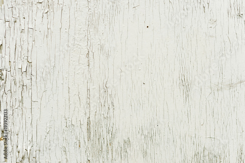 Textured background wooden surface painted with water-emulsion paint with small cracks in time. Rustic background photo