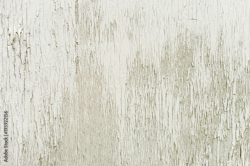 Textured background wooden surface painted with water-emulsion paint with small cracks in time. Rustic background