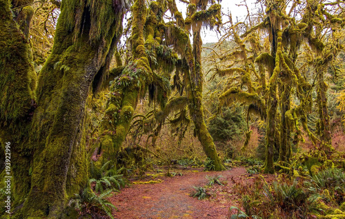 Olympic national Park