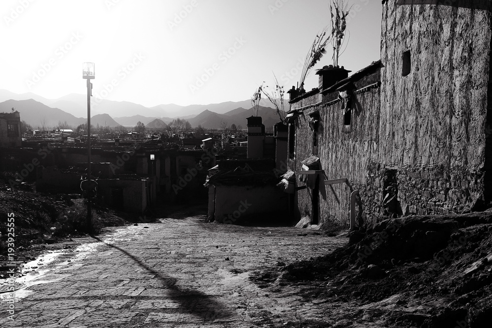 Fototapeta premium city view in Tibet china