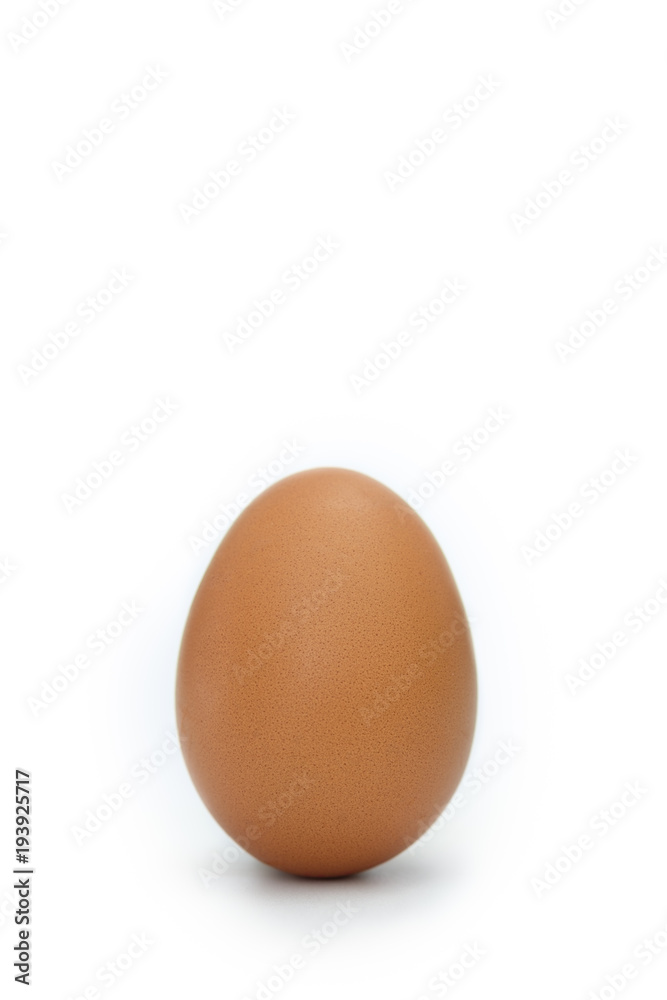 Egg is beneficial to the body Egg is beneficial to the body