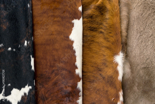 Cow skin Pattern texture black white red gray