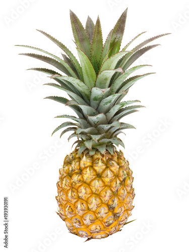 Pineapple fruit isolated on white background, clipping path included